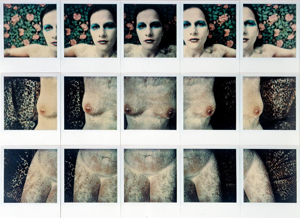  Paul de Nooijer – Transformation by Holding Time (Artist - Model), 1976